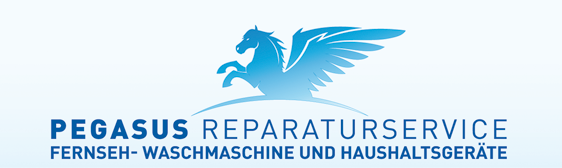 PEGASUS REPARATURSERVICE BERLIN